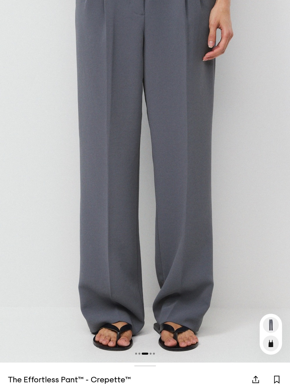 Aritzia Wide-Leg Crepette Trousers in Gray